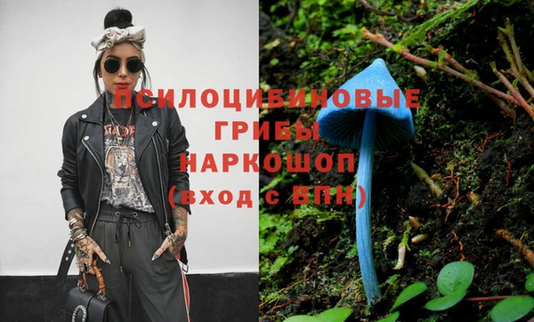 первитин Коряжма