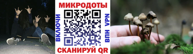 darknet какой сайт  Ессентуки  Псилоцибиновые грибы Psilocybe  купить  